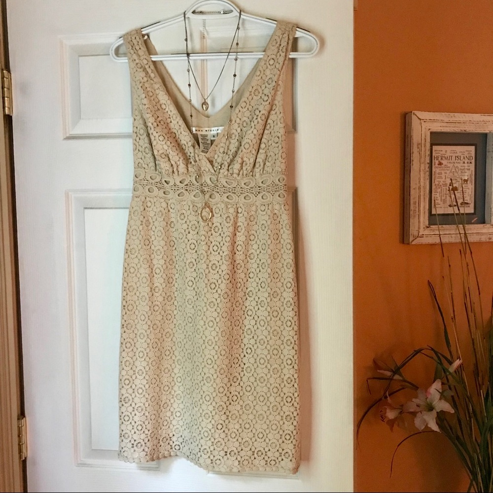 Max Studio Nude Dress